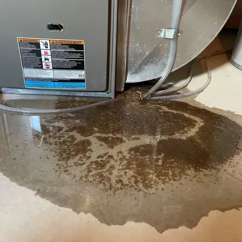 Appliance Leak Cleanup in La Crosse, WI